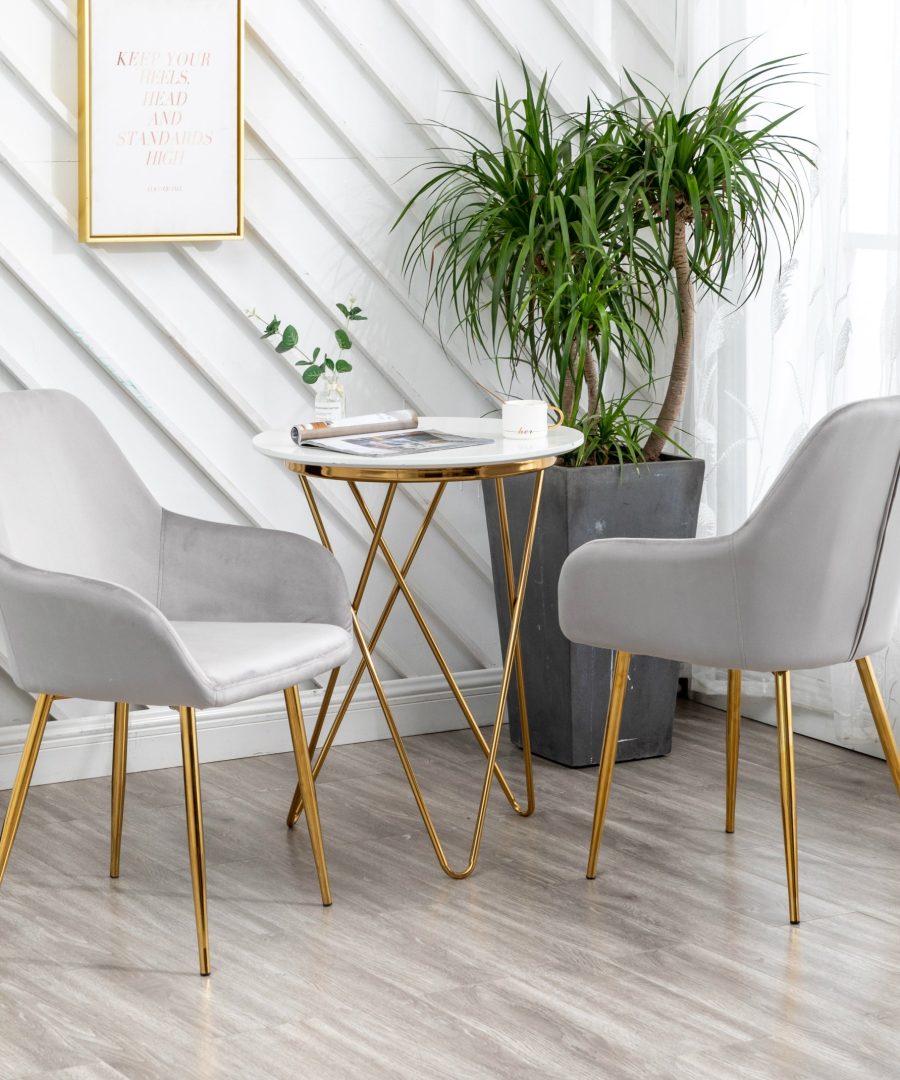 Modern Dining or Accent Chair