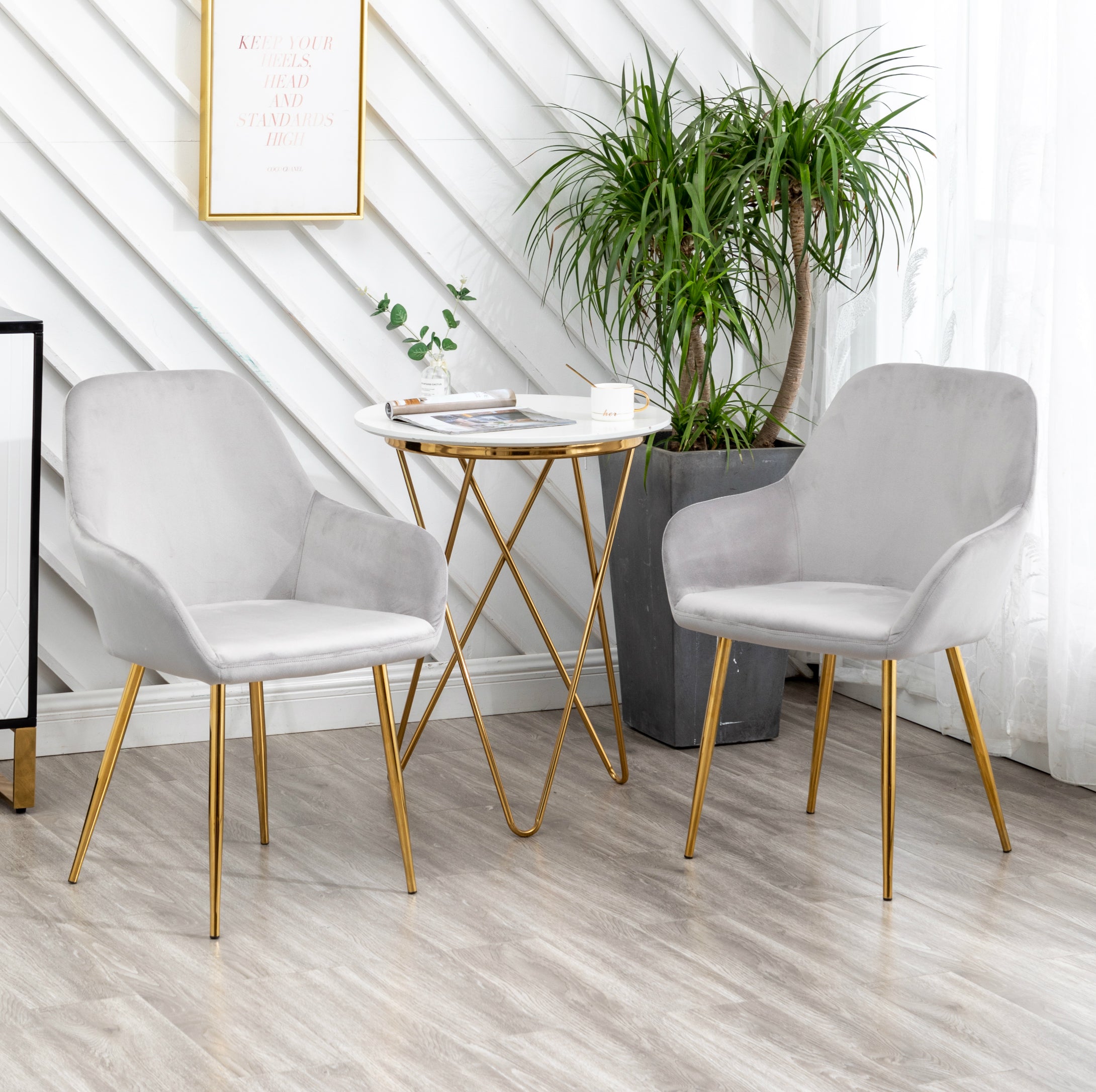 Premium Modern Upholstered Dining Chairs Set